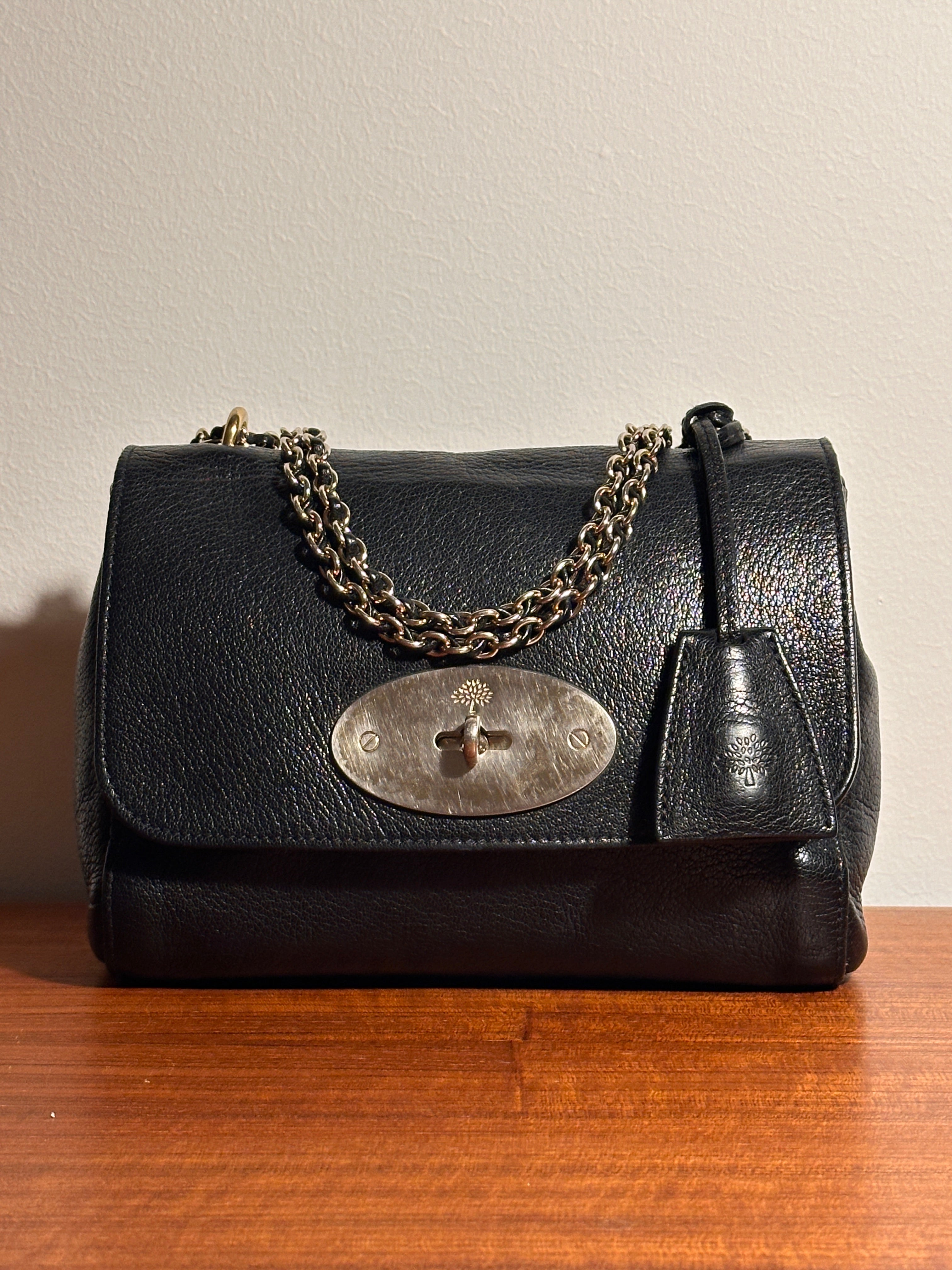 Mulberry Lily Black Small Classic Grain Crossbody