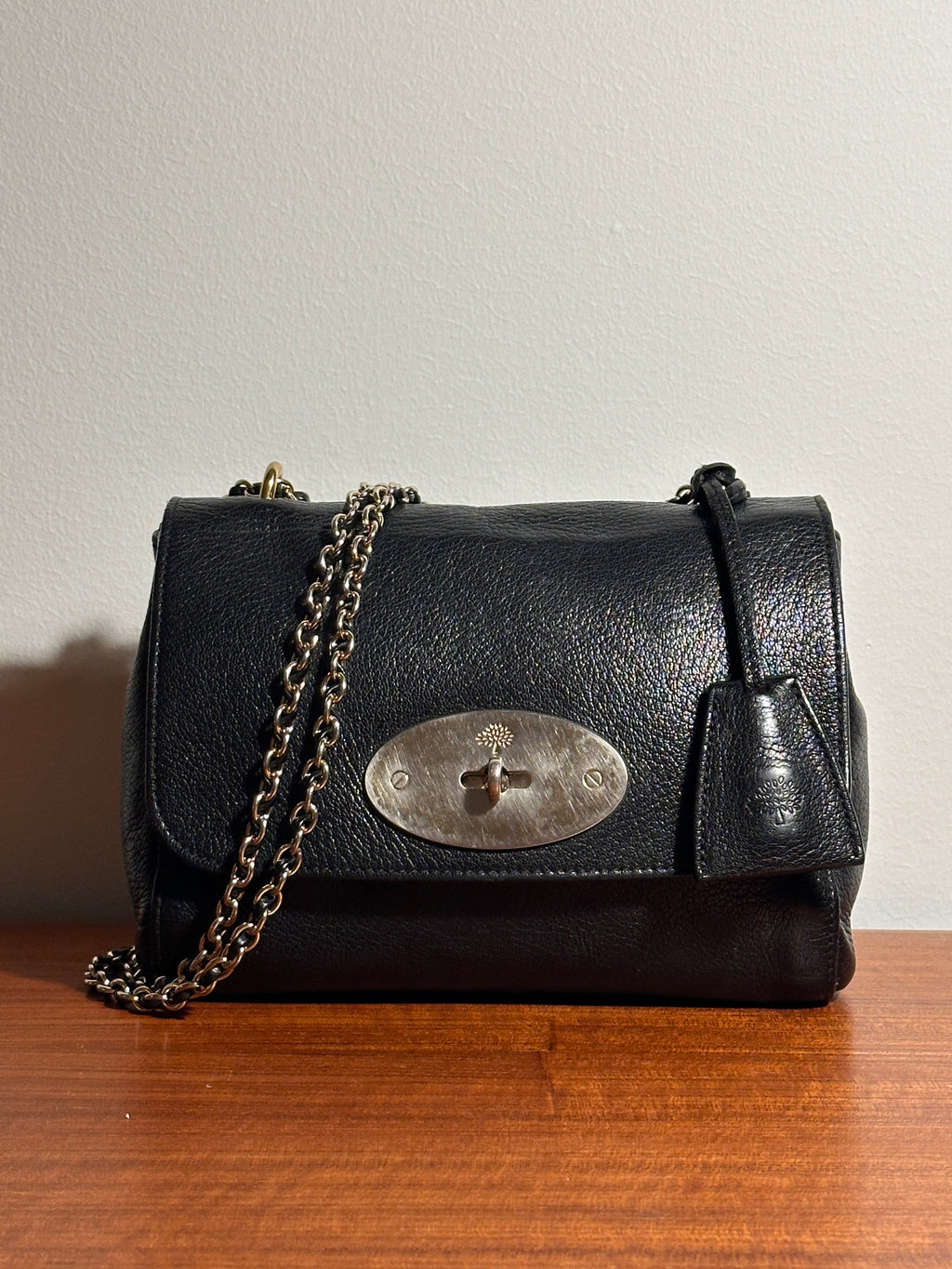 Mulberry Lily Black Small Classic Grain Crossbody